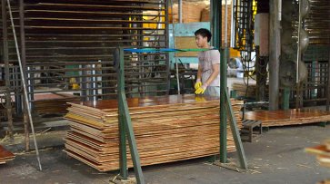 「 廣西建筑模板工廠」廣西弘獅木業廠區介紹